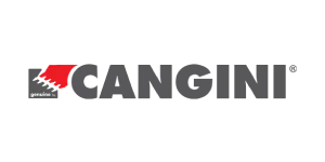 Cangini